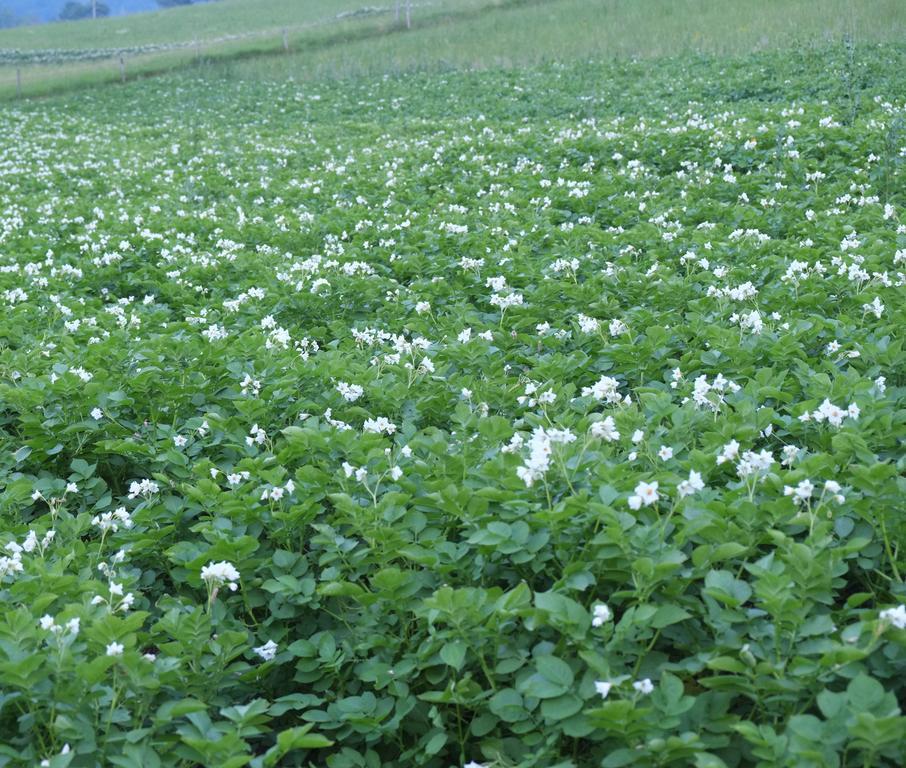 Séjour à la ferme Farm Pri Flandru Cerkno