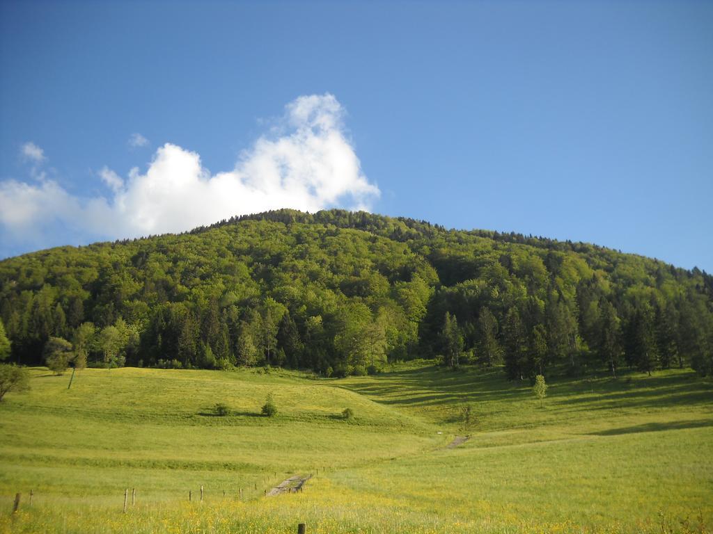 Farm Pri Flandru Cerkno