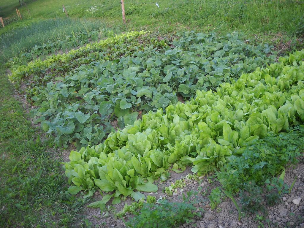 Séjour à la ferme Farm Pri Flandru