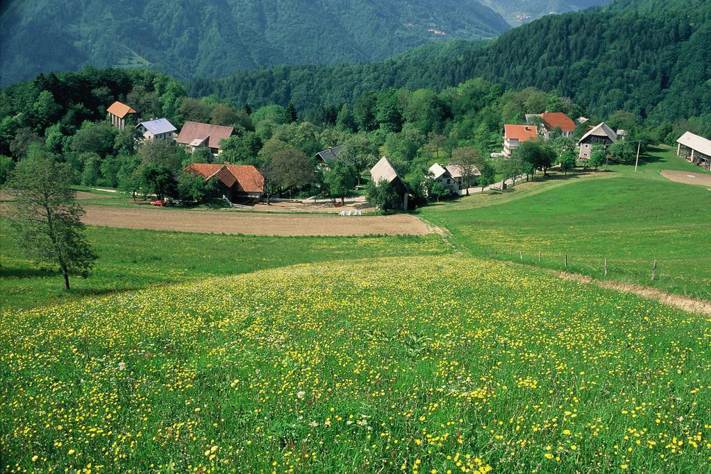 Séjour à la ferme Farm Pri Flandru *